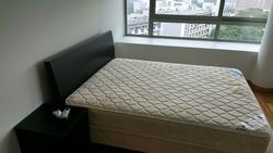 Lush On Holland Hill (D10), Condominium #112686152